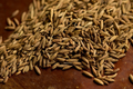 Cumin Seeds 250 Pack – Aromatic Culinary Herb for Cooking – Cuminum cyminum Spice Seeds