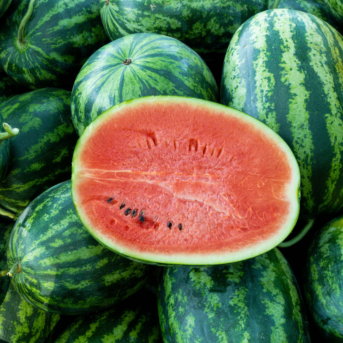 Jubilee Watermelon Seeds – Heirloom, Sweet, Juicy, Striped Variety – Citrullus lanatus, Summer Fruit Seeds