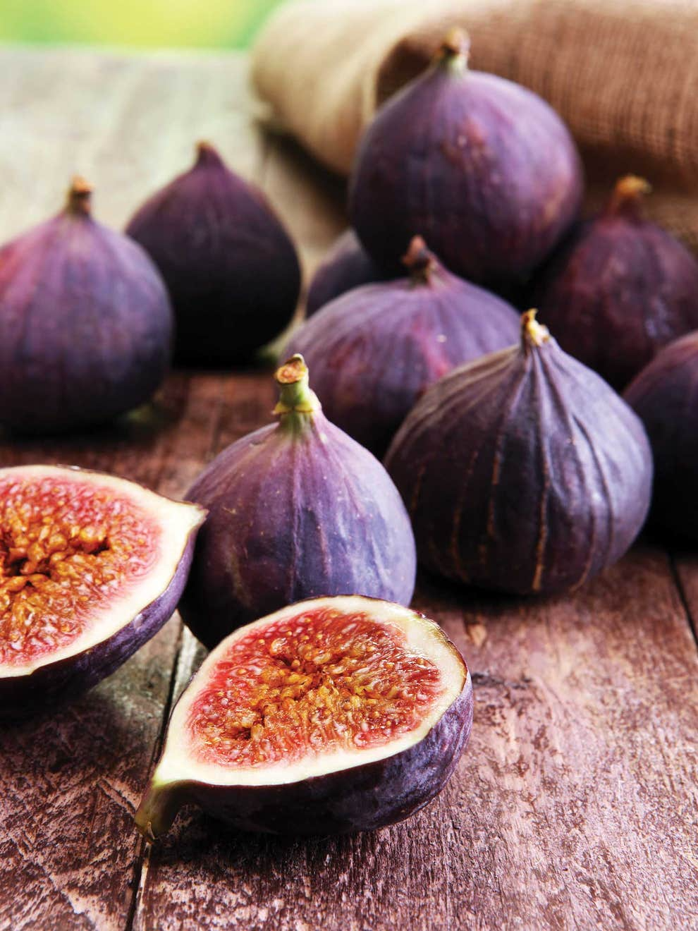 Violette de Bordeaux Fig Cuttings - Purple-Black Fruit, Drought-Resistant, Small Dwarf Tree, Propagation Plant