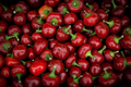 Pimento Pepper Seeds | Heirloom, Non-GMO | Sweet & Mild, Heart-Shaped, Capsicum annuum, 25-2,500 Seeds