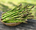 Jersey Knight Live Asparagus Bare Root Plants – 2-Year Crowns, High-Yield, Disease-Resistant, Easy to Grow, Asparagus officinalis
