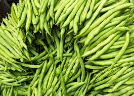 Provider Green Bush Bean Seeds – Heirloom Non-GMO, High-Yield, Fast-Growing Beans for Garden Beds & Containers