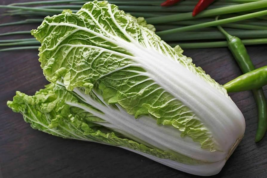 1000 Michihili Cabbage Seeds - Non-GMO Heirloom Chinese Napa Cabbage for Stir-Fry, Kimchi, Salads | Brassica rapa subsp. pekinensis