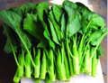 Wan Shen Kailan Seeds 500mg - Heirloom Chinese Broccoli Brassica oleracea var. alboglabra for Stir-Fries, Soups & Salads - Non-GMO