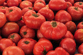 Tomato Seeds VR Moscow Heirloom, High Yield, Cold Hardy, Slicing & Salad, 100mg Planting Seed, Solanum lycopersicum