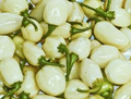White Habanero Pepper Seeds – Heirloom, Non-GMO, 1-2 Inch Creamy White Peppers, Capsicum Chinense, Drought-Tolerant, Full Sun
