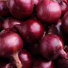 Red Grano Onion Seeds - Heirloom, Non-GMO, Salad & Burger Onion, Allium Cepa, 110 Days to Maturity