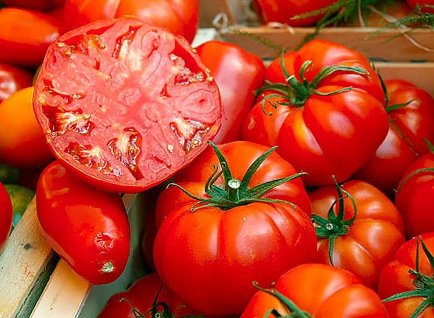 Tomato Seeds Beefsteak Heirloom Large Juicy High Yield for Slicing & Containers – Solanum lycopersicum