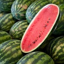 Jubilee Improved Watermelon Seeds Heirloom Non-GMO Fusarium Wilt Resistant Red Flesh Summer Fruit