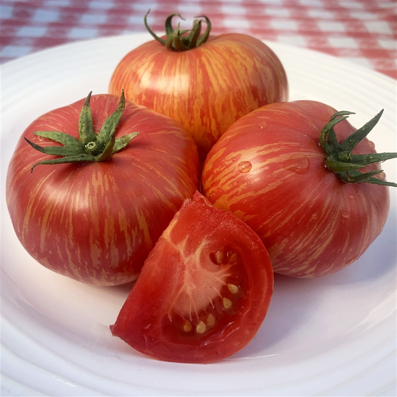 Vintage Wine Tomato Seeds – Heirloom Striped Pink & Gold Beefsteak, Juicy & Sweet, Indeterminate Solanum lycopersicum