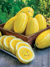 Gold In Gold Hybrid Watermelon Seeds - 50+ USA Grown Sweet Yellow Flesh Fruit Seeds for Home Garden, High Yield, Summer Vines