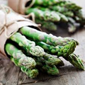 25 Green Atlas Asparagus Bare Root Plants | 2-Year Crowns | Asparagus officinalis | Easy to Grow Garden Starter