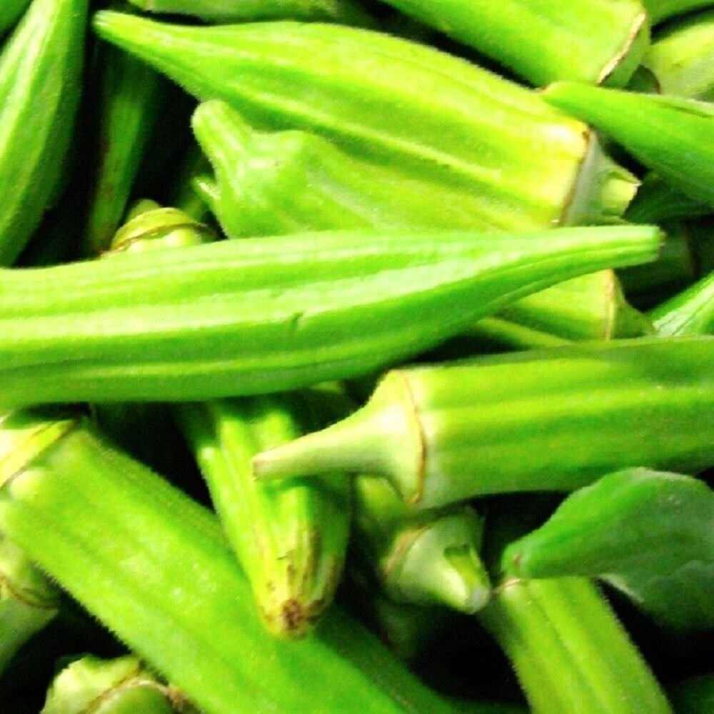 Okra Seeds 5g Clemson Spineless Heirloom Non-GMO High Yield Heat Tolerant Vegetable Seeds Abelmoschus esculentus