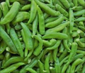 Hatch Rattlesnake Hot Pepper Seeds – Capsicum annuum, Heirloom Chili for Planting, Spicy Flavor, Gardening & Culinary Use