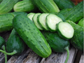 Boston Pickling Cucumber Seeds – Heirloom, Non-GMO, 2-6” Pickling Cucumbers, Creeping Vine, Vegetable Garden Seeds