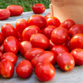 Heirloom Tomato Seeds Mix – 100 Colorful Open-Pollinated Varieties, Non-GMO, Lycopersicon esculentum