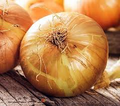 Walla Walla Sweet Onion Seeds – Allium cepa Heirloom, Extra-Sweet, Mild & Juicy for Salads & Cooking