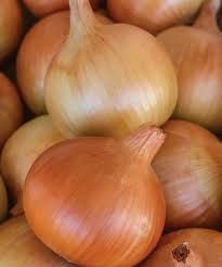 Patterson Onion Seeds – High Yield Allium cepa Vegetable Garden Seeds for Homegrown Onions
