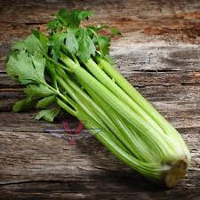 Golden Self-Blanching Celery Seeds – Heirloom Variety for Tender, Mild Stalks, Apium graveolens, 500 Seeds