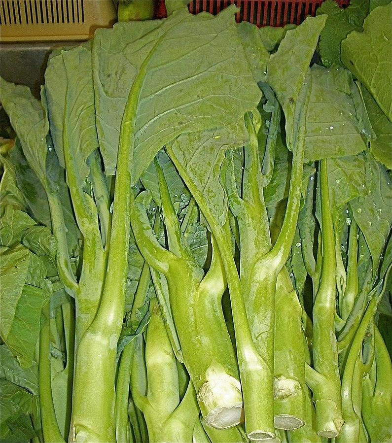 125 Kailaan Chinese Broccoli Seeds - Heirloom Gai Lan - Asian Greens - Brassica oleracea var. alboglabra