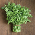 500 Shungiku Seeds - Edible Chrysanthemum Asian Greens for Salads, Stir-Fries & Soups - Glebionis coronaria