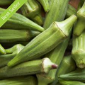 Okra Seeds Clemson Spineless 5g Heirloom Variety High Yield Tender Pods Heat Tolerant for Garden & Containers