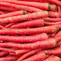 Atomic Red Carrot Seeds - Heirloom Non-GMO, Deep Red Roots, Sweet & Crisp, 150-15,000 Seeds, Cool Season Vegetable, Daucus carota