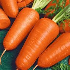 Red Cored Chantenay Carrot Seeds – Heirloom, Sweet, Crisp, Compact, Daucus carota, 300 Seeds
