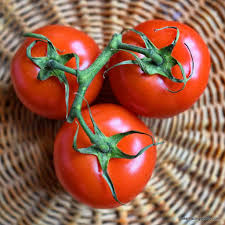 Floradade Heirloom Tomato Seeds | Heat-Tolerant, Disease-Resistant, Compact, Solanum Lycopersicum