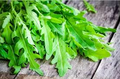 Roquette Arugula Seeds - Heirloom, Non-GMO, Fast-Growing, Peppery Greens, Eruca Sativa, Salad & Microgreens Seeds