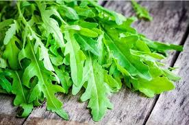 Roquette Arugula Seeds - Heirloom, Non-GMO, Fast-Growing, Peppery Greens, Eruca Sativa, Salad & Microgreens Seeds