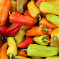Cubanelle Pepper Seeds | Heirloom Sweet Frying Peppers | Non-GMO | Capsicum annuum for Roasting, Stuffing, Frying Zones 4-10