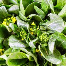 Yu Choy Sum Seeds 500mg - Flowering Brassica Jung Green - Heirloom Non-GMO Asian Green for Stir-Fries & Gardening