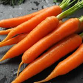 300 Danvers Carrot Seeds – Daucus carota Heirloom, Sweet Crisp, Deep Orange Roots, Non-GMO, Root Vegetable for Cooking & Snacking