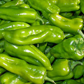 250 mg Cubanelle Sweet Pepper Seeds | Heirloom Capsicum annuum for Gardening & Culinary Use