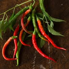 Cayenne Long Thin Pepper Seeds | Heirloom, Non-GMO | 30,000-50,000 Scoville | Hot Pepper, Capsicum annuum