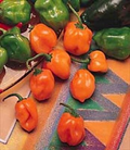 Orange Habanero Pepper Seeds - Heirloom, Non-GMO, Capsicum annuum, 100,000-350,000 Scoville, Hot Pepper Seeds for Salsas & Hot Sauces