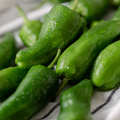 Padron Pepper Seeds - Heirloom Non-GMO, Capsicum Annuum, Mild with Hint of Heat, 85 Days to Maturity, Tapas & Sautéing
