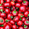 Cherry Hot Red Pepper Starter Plants – High Yield, Spicy & Sweet Chili, Edible, Capsicum annuum, Outdoor, Container Gardening