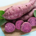 Organic All Purple Sweet Potato Tubers - Japanese Variety, Fast-Growing, Hardy, Nutritious, 5 Pounds, Ipomoea batatas
