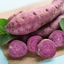 Organic All Purple Sweet Potato Tubers - Japanese Variety, Fast-Growing, Hardy, Nutritious, 5 Pounds, Ipomoea batatas