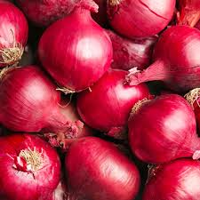 Red Onion Seeds – Allium cepa ‘Red Grano’ Heirloom, 250 mg for Planting & Gardening