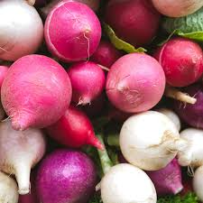 Easter Egg Radish Seeds – Colorful Blend, Crisp & Mild Flavor, Raphanus sativus, 200 Seeds for Salad & Garden