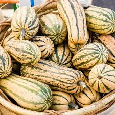 Delicata Squash Seeds | Non-GMO Heirloom Winter Squash with Sweet Potato Flavor | 1-3 lb Fruits | Cucurbita pepo