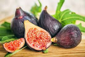 Ficus "Black Mission" Fig Tree Starter Plant - Hardy Edible Ficus Carica for Indoor Outdoor Garden