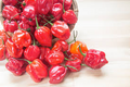 Habanero Pepper Seeds – Capsicum chinense – Extra-Hot Chili, Heirloom, Non-GMO, 100,000–350,000 Scoville