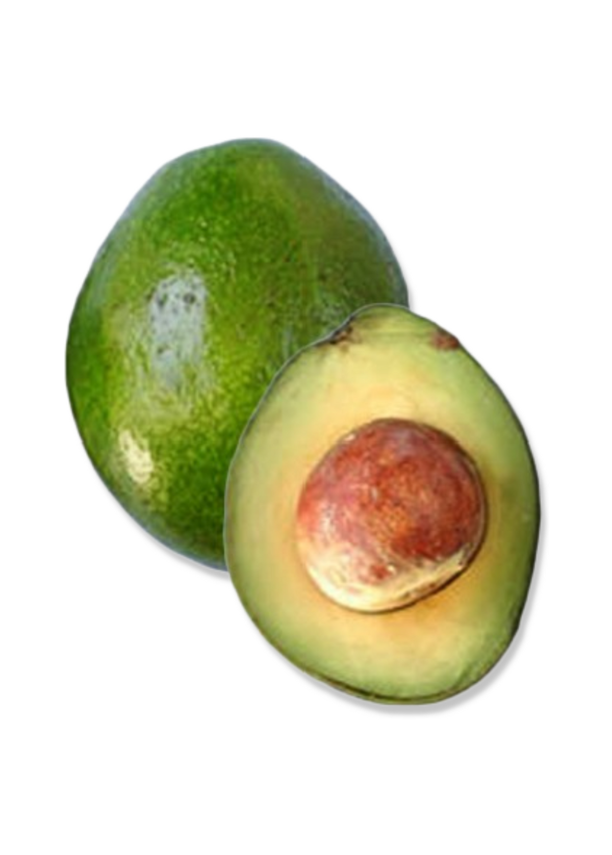 Avocado 'Monroe' (Persia americana)