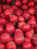 Pomegranate ‘Wonderful’ Starter Trees – 8-12 Inches, Fruitful, Edible Landscape, Punica granatum, Well-Rooted, Free Shipping
