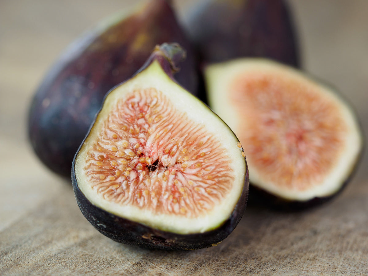 Olympian Fig Tree Live Plant in 1 Quart Grow Bag, Ficus carica 'Olympian', Edible Garden, Container Friendly