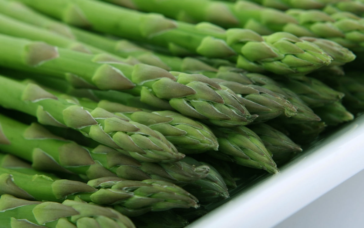 Millennium Asparagus Bare Root Crowns – 2-Year-Old Live Plants, Edible Vegetable, Asparagus officinalis, Perennial Garden Plant